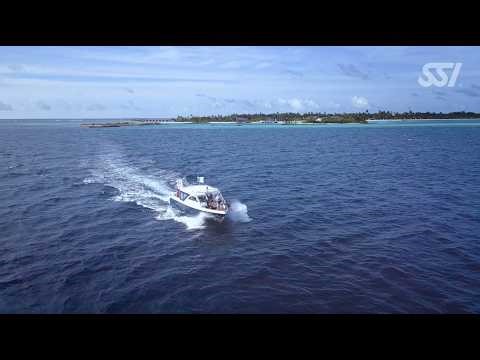 Boat Diving Specialty | Learn to Dive from Boats