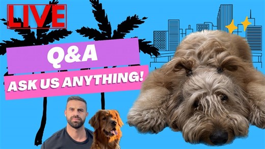 Dog outfit try-on & hilarious grooming with Brody and Luna!🐾