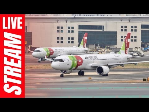 🔴 Lisbon Airport LIVE WINDY Plane Spotting