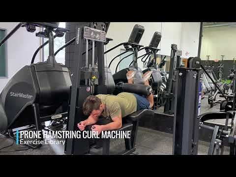 Prone Hamstring Curl Machine