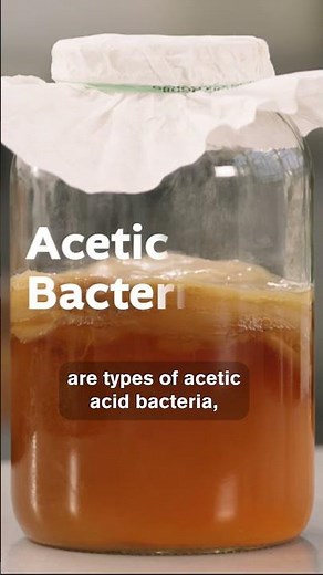 How to Make Kombucha at Home | Sustainable Eats with America’s Test Kitchen
