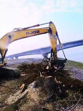 Insane Tree-Cutting Machine in Action! | Precision Forestry Equipment 🌲🪓