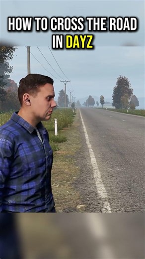 How to cross a road in DayZ😂