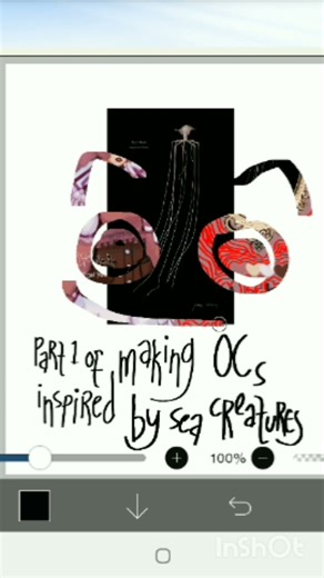 Part 1: Bigfin squid (Magnapinna squid)