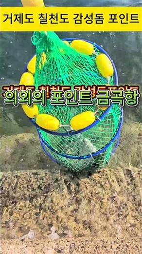거제도 칠천도 감성돔 포인트
