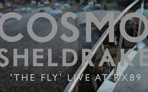 Cosmo Sheldrake - The Fly (Live on a fishing boat)