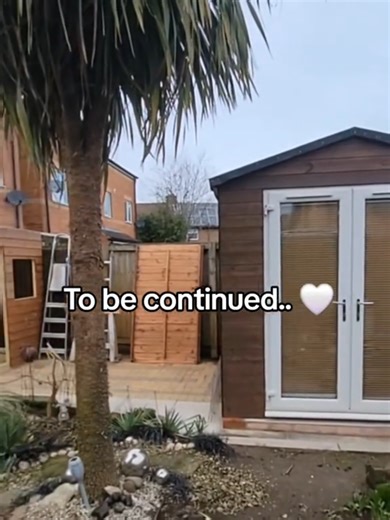 Building a New Bird Aviary: A DIY Journey