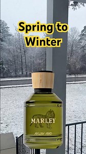 Best Spring Fragrances for Men #shorts #fr