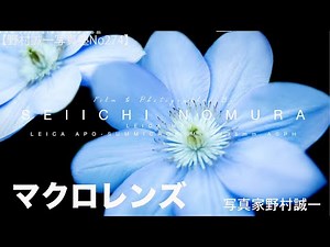 【野村誠一写真塾No274】マクロレンズで楽しみましょう。これからは、撮りたいもので溢れてきます。