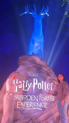 Harry Potter: A Forbidden Forest Experience is one hidden gem in Brisbane you will not want to miss! ✨ Get your tickets here https://bit.ly/Brisbane_GetTickets | Harry Potter: A Forbidden Forest Experience