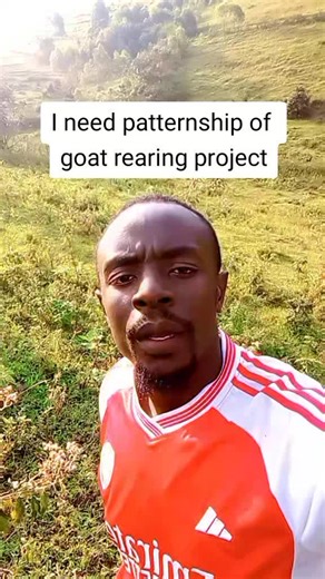 goat rearing project #foryoupage yyyppppppppppppppppppppllllll