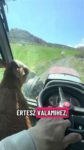 A kamu önéletrajz #józsigazda #vicces #munka #önéletrajz #meló