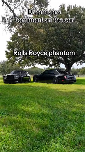 Dream Cars: Exploring Luxury Vehicles of the Wealthy