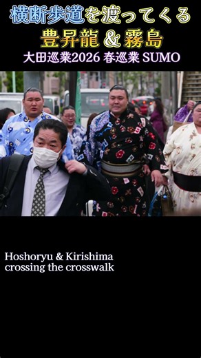 横断歩道を渡ってくる 豊昇龍 & 霧島❗【大田巡業2026 大相撲 春巡業】SUMO