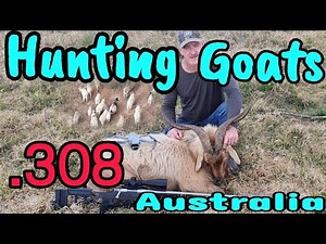 Goat Hunting Australia || 308 win Suppressed || The mother load