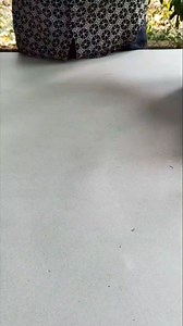 432K views · 5.5K reactions | diy Wood Coupling #tools #woodworking #tips #shorts #woodwork | DIY Woodworking | Facebook