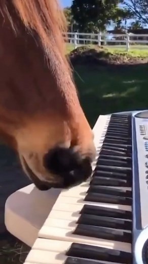 RODEO® on Instagram