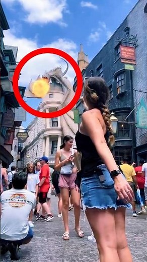 The Magic of Wands in the Wizarding World 🪄✨