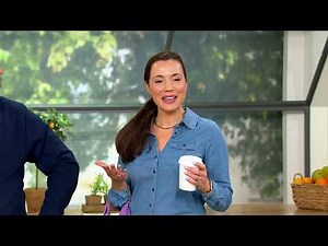 Home 365 Multi-Step Safety Ladder with Removable Tool Pouch on QVC