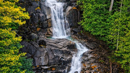 A hidden waterfall deep inside a dense forest