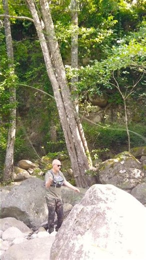 Corse: pêche à la mouche #flyfishing