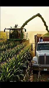 POWERFUL Corn Silage Harvester Machine.