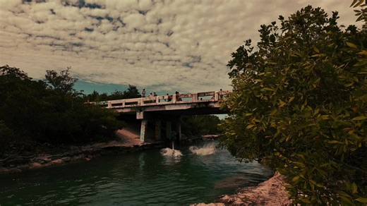 Key West: The Most Vibrant Florida Key?