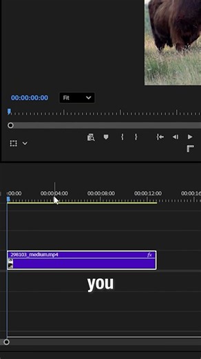 How to Make a Smooth Zoom in Premiere Pro