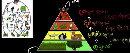 ଖାନ୍ ଏକାଡେମି