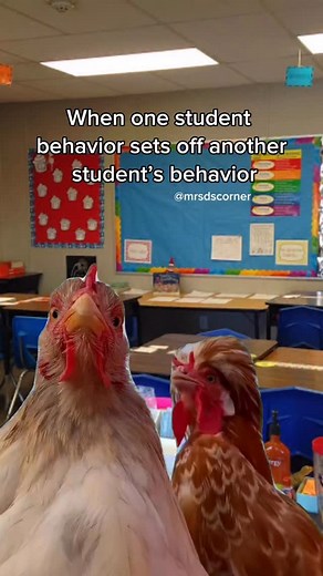 🚨 FREE Behavior Resources Alert! 🚨 Struggling with classroom behaviors? 🤔✨ The Intentional IEP Mrs. Moe’s Modifications have teamed up to bring you the ultimate FREE resource to understand and address student behaviors effectively! 🧠📝 ✅ What’s Inside: 📚 A breakdown of the 4 Functions of Behavior 📋 A list of 31 common classroom behaviors with their typical functions 🎯 An easy-to-use Behavior IEP Goal Formula 📊 5- and 10-spot Intensity Scales 🗂️ Behavior Data Sheets for tracking progress
