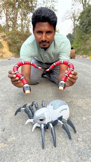 RC Snake and spider unboxing 😳
