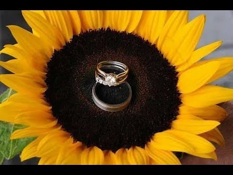 Beautiful ideas for a Sunflowers themed wedding #1
