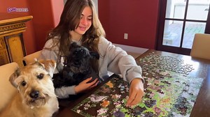 Funwares Original 101 Puppies Puzzle – 1000-Piece Hilarious Dog Jigsaw – Funny Gift for Dog Lovers, White Elephant, and Pet Lovers with a Sense of Humor