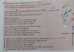 Experiment 14.2 Preparing sodium chloride Have you got your neu... | Filo