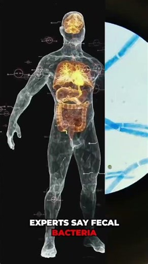 Using phones on toilet seat can harm your health #healthrisks #health #hygeine #flushthephone #phone