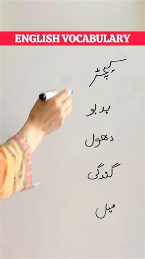 5 advanced daily use English sentences with Urdu translation #english #englishvocabulary