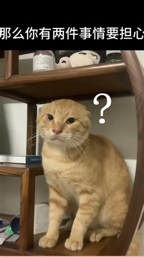 🚀交易订单的2件事🎯