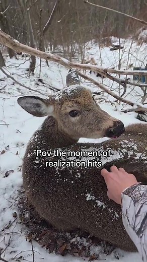 #hunting #fyp #deer #blowthisup #funny | deer