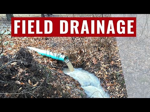 Does Farm Field Drainage Tile Really Work?