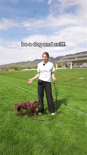 Go sniff walk