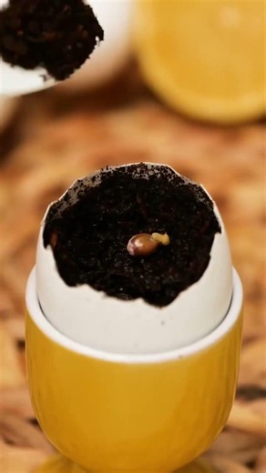5 Genius Gardening Hacks You Need to Try! 🌱🍋 | Easy Plant Growing Tips