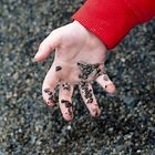 What to Do if Your Child Swallowed a Small Rock