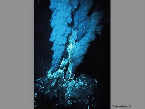 【命のはじまり】生命の誕生