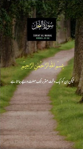 SURAH AL NAHAL#allah #viral #foryou