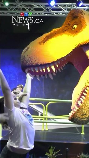 One of the biggest Lego models in the world is in Edmonton