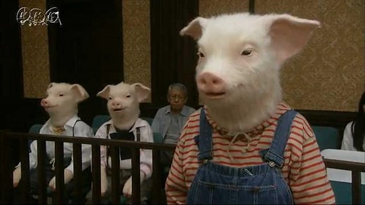 「三匹のこぶた」裁判 | 昔話法廷 | NHK for School