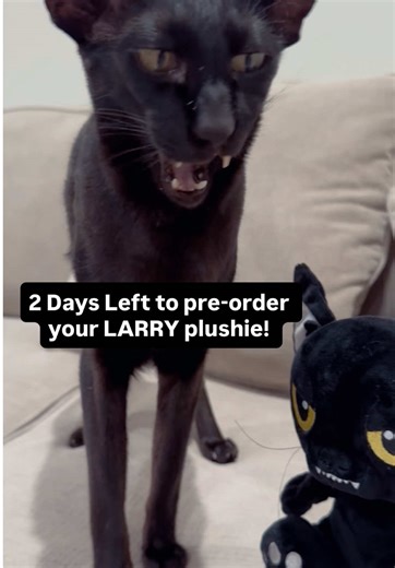 Pre-order Your LARRY Plushie Now!