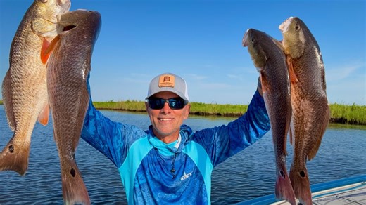 MARSH MAN MASSON: 20-inch Redfish All of a Sudden Everywhere!