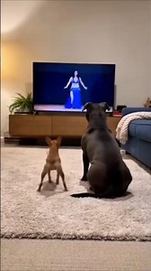 Trending - Bellydance #ytshorts #shorts #trending #viral #dance