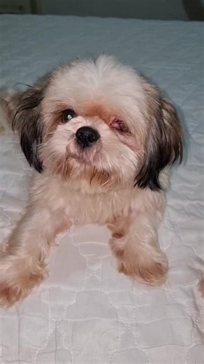 116K views · 8.5K reactions | ASO MONG MARUNONG MAG MATH藍藍藍 | Furmomkhai&the batuta | Facebook